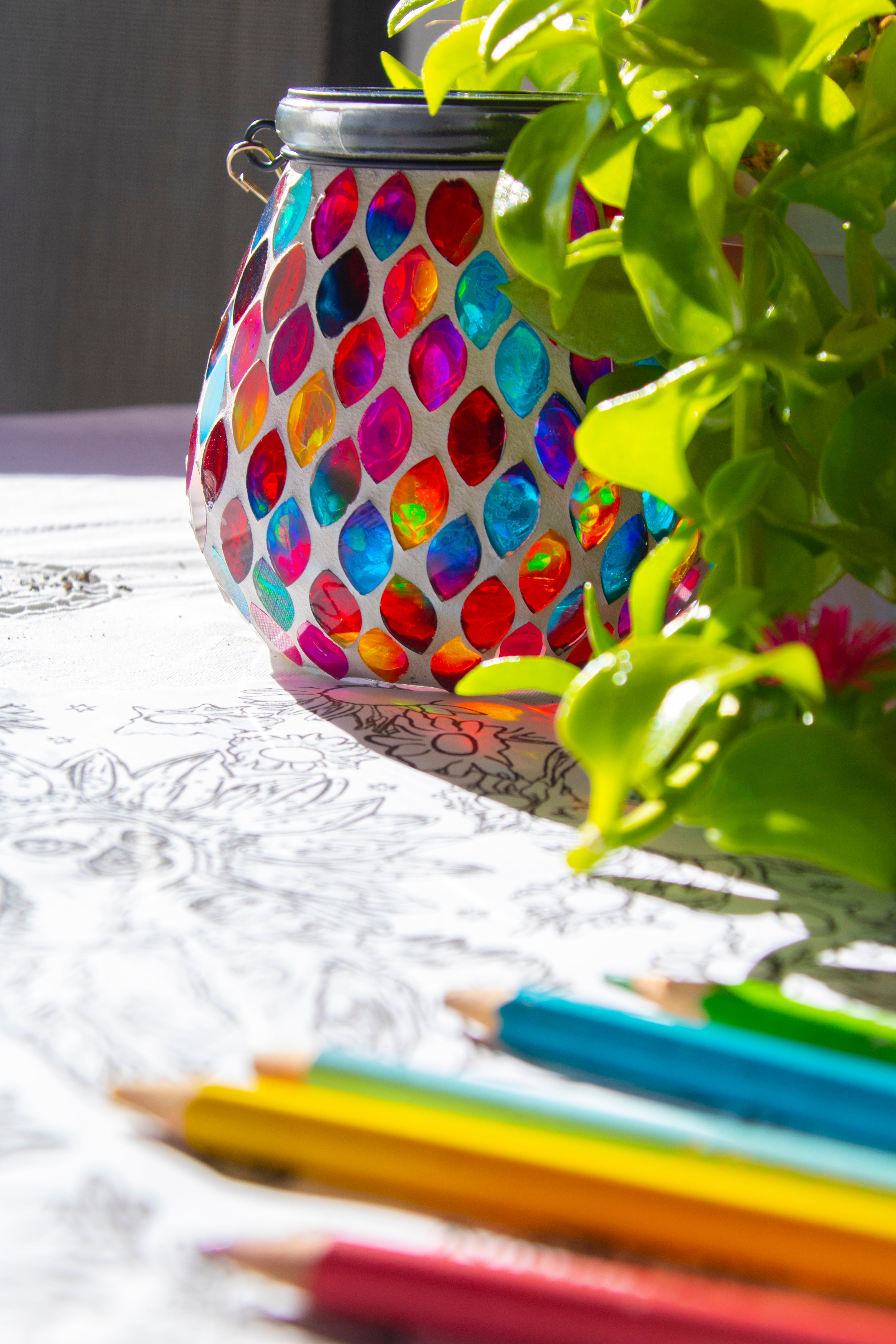 Digital Colouring Page - Lamer