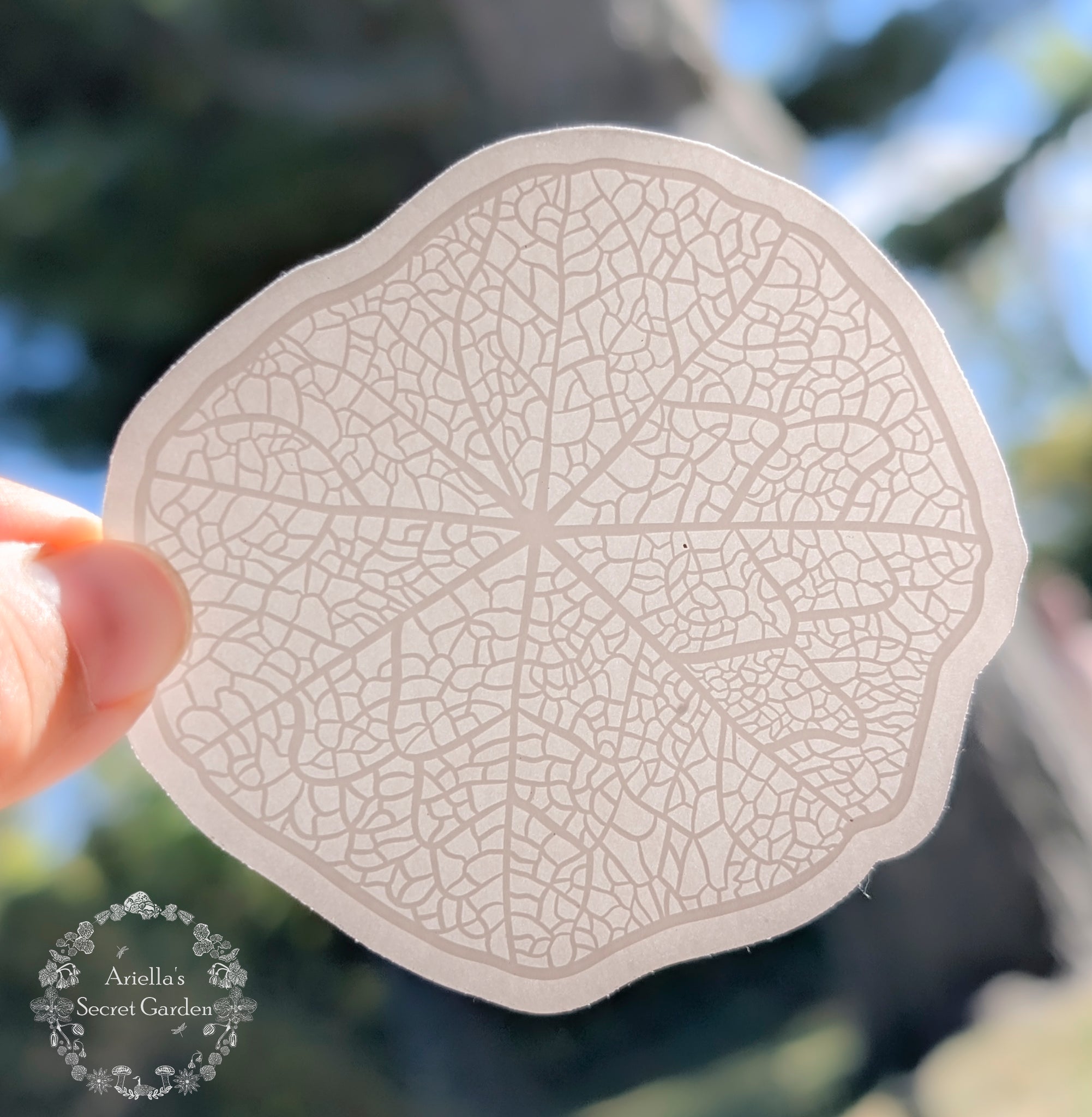 Sticker- Clear - Leaf