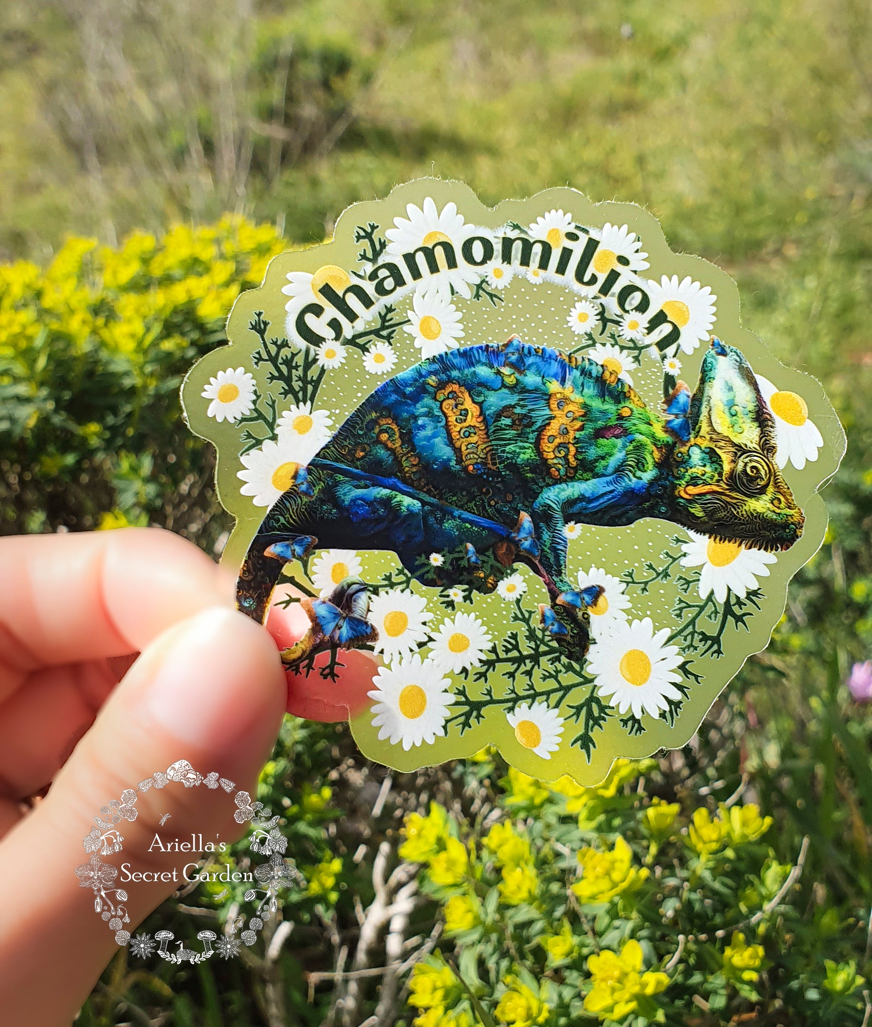 Sticker - Clear -Chamomilion