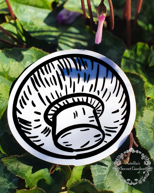 Sticker - Clear mushroom Sticker