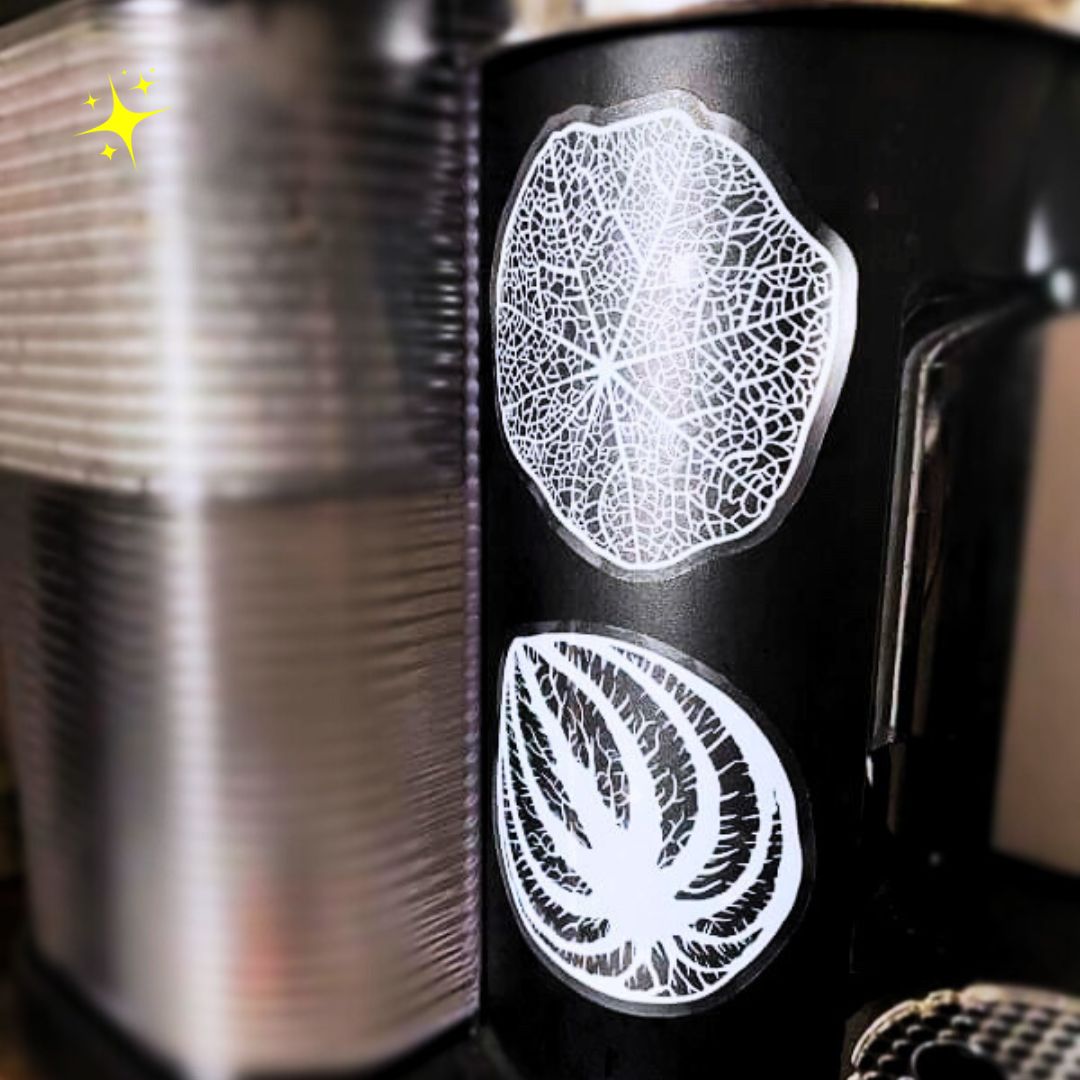 Sticker - Clear - Watermelon Peperomia~