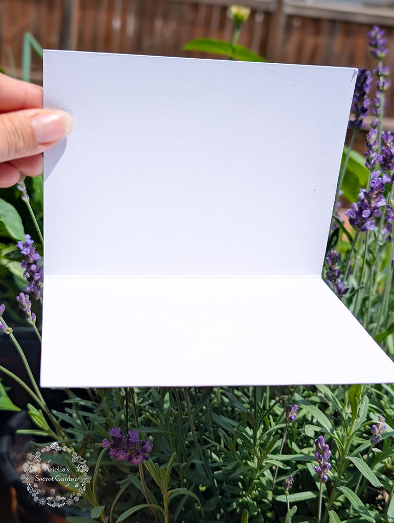 Greeting card - Bike