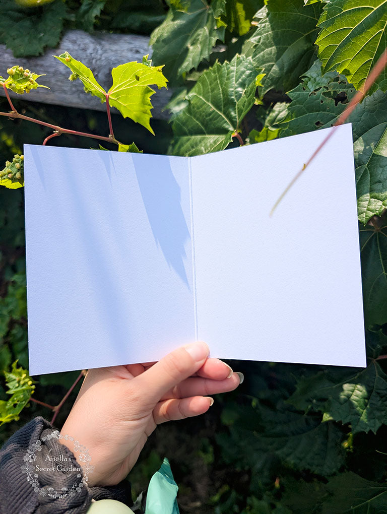 Greeting card - Deerly