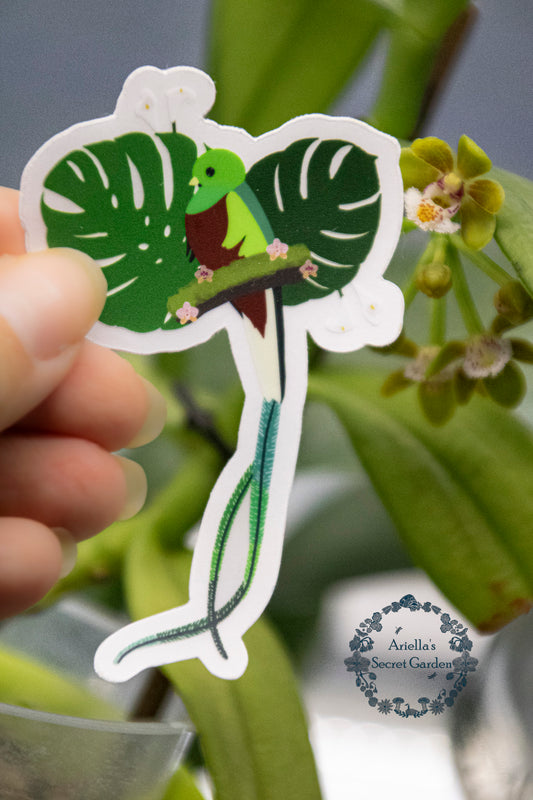 Sticker- Clear- Resplendent quetzal Birds