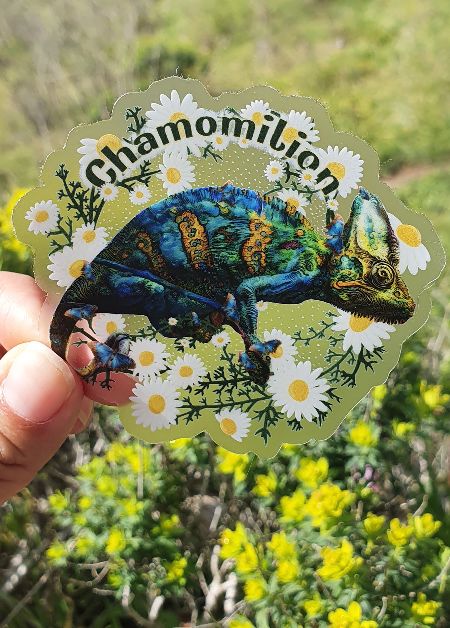 Sticker - Clear -Chamomilion