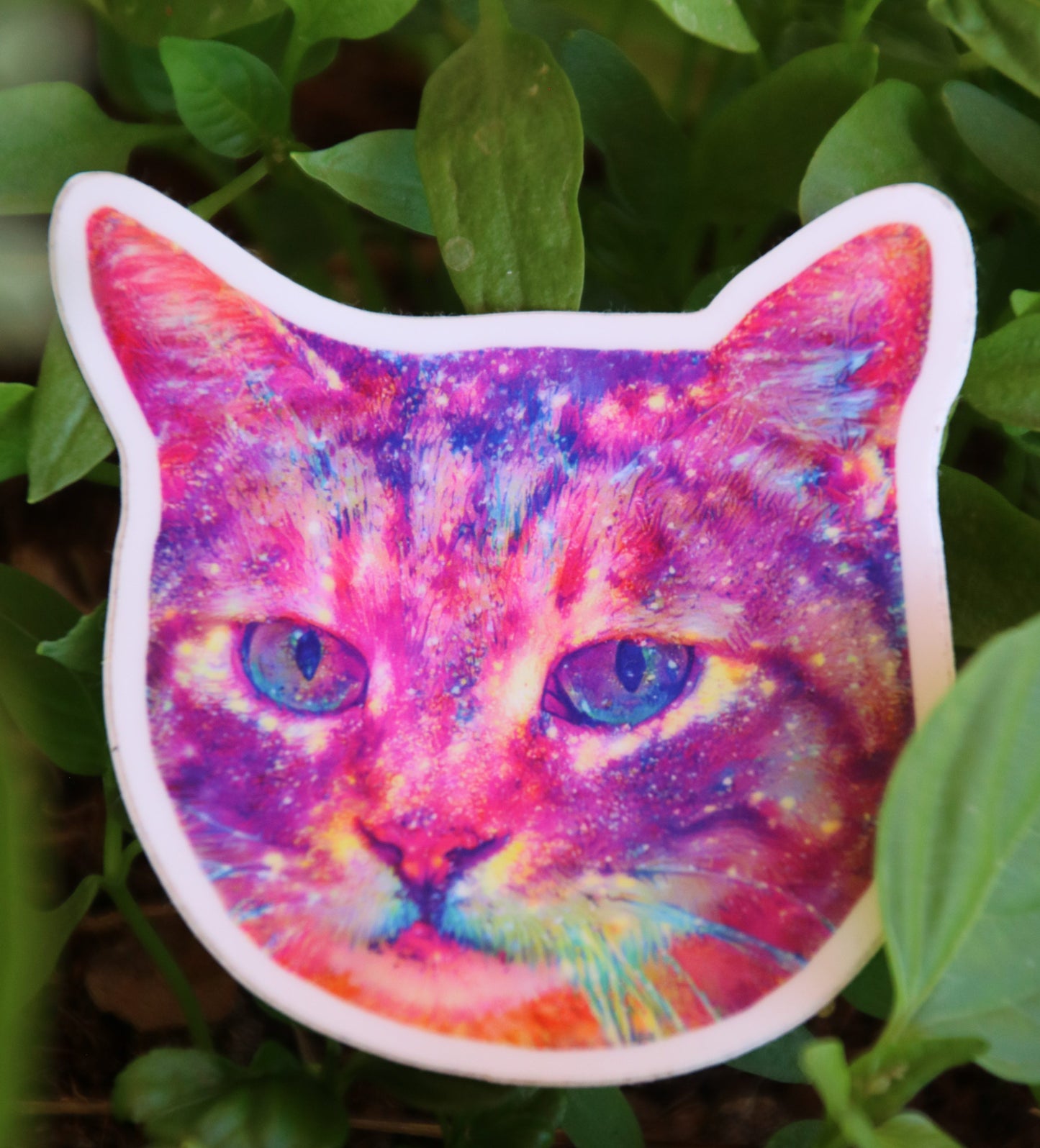 Sticker- mam cat